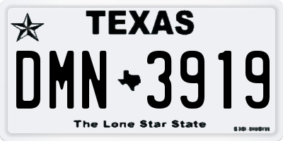 TX license plate DMN3919