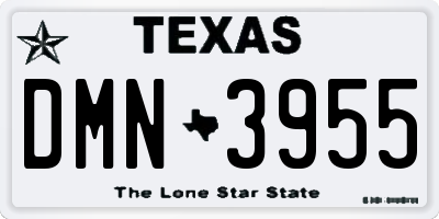 TX license plate DMN3955