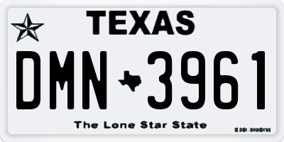 TX license plate DMN3961