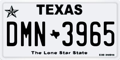 TX license plate DMN3965