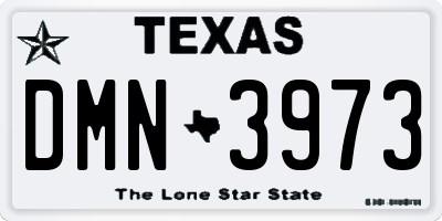 TX license plate DMN3973