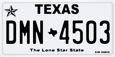 TX license plate DMN4503