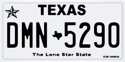 TX license plate DMN5290
