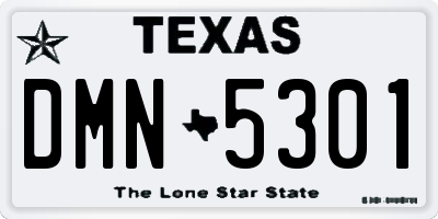 TX license plate DMN5301