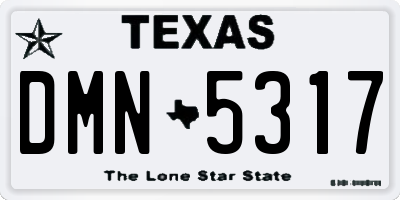 TX license plate DMN5317