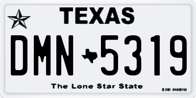 TX license plate DMN5319