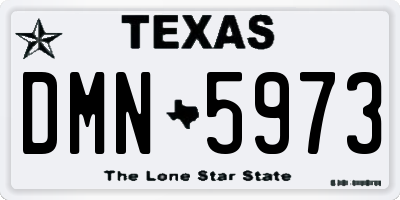 TX license plate DMN5973