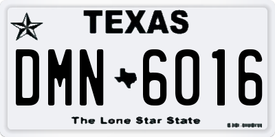 TX license plate DMN6016