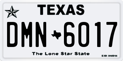 TX license plate DMN6017