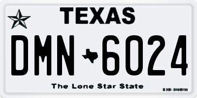 TX license plate DMN6024