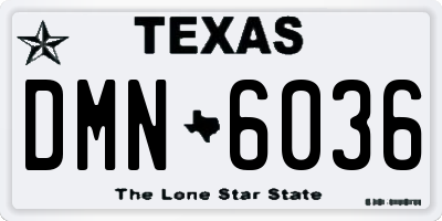 TX license plate DMN6036