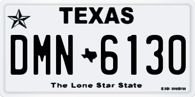 TX license plate DMN6130