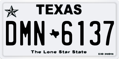 TX license plate DMN6137