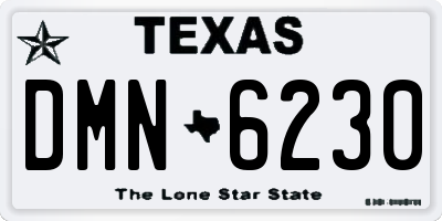 TX license plate DMN6230