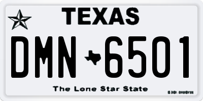 TX license plate DMN6501