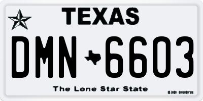 TX license plate DMN6603
