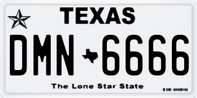 TX license plate DMN6666