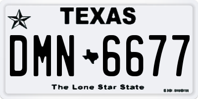 TX license plate DMN6677