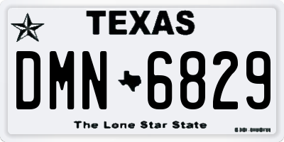 TX license plate DMN6829