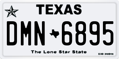 TX license plate DMN6895