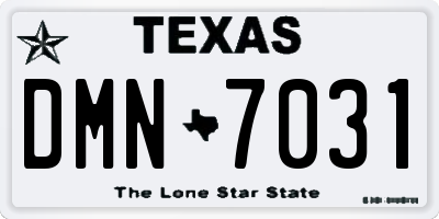 TX license plate DMN7031