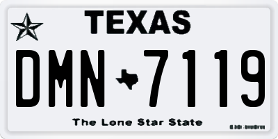 TX license plate DMN7119