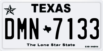 TX license plate DMN7133