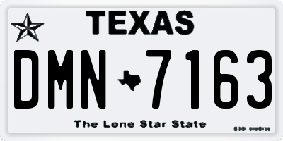 TX license plate DMN7163