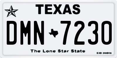 TX license plate DMN7230