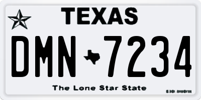 TX license plate DMN7234