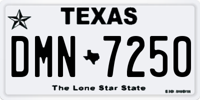TX license plate DMN7250