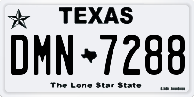TX license plate DMN7288