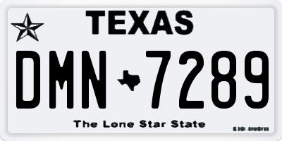 TX license plate DMN7289