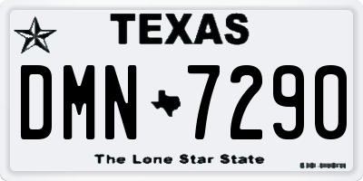 TX license plate DMN7290