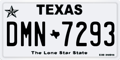 TX license plate DMN7293