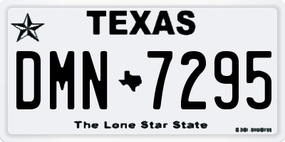 TX license plate DMN7295