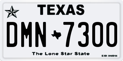 TX license plate DMN7300