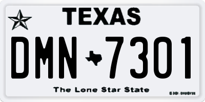 TX license plate DMN7301