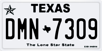 TX license plate DMN7309