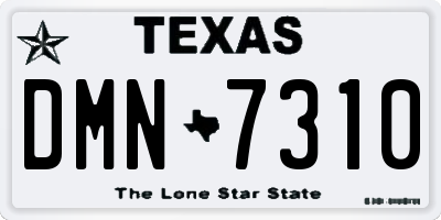 TX license plate DMN7310