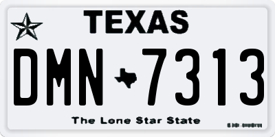 TX license plate DMN7313