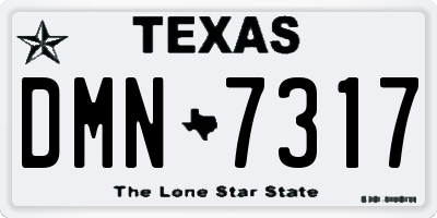 TX license plate DMN7317