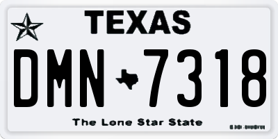 TX license plate DMN7318