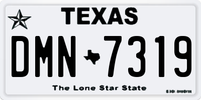 TX license plate DMN7319