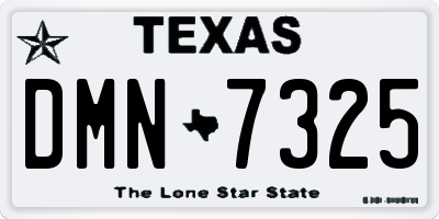 TX license plate DMN7325