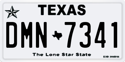 TX license plate DMN7341