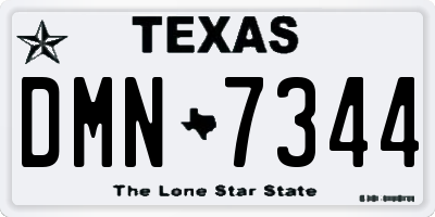 TX license plate DMN7344