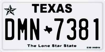 TX license plate DMN7381
