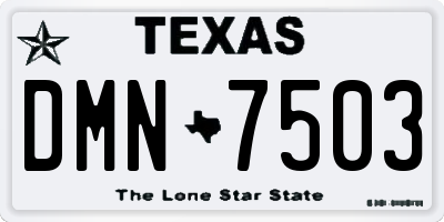TX license plate DMN7503
