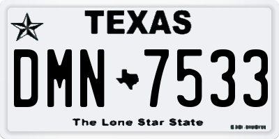 TX license plate DMN7533